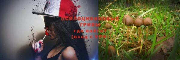 трава Михайлов