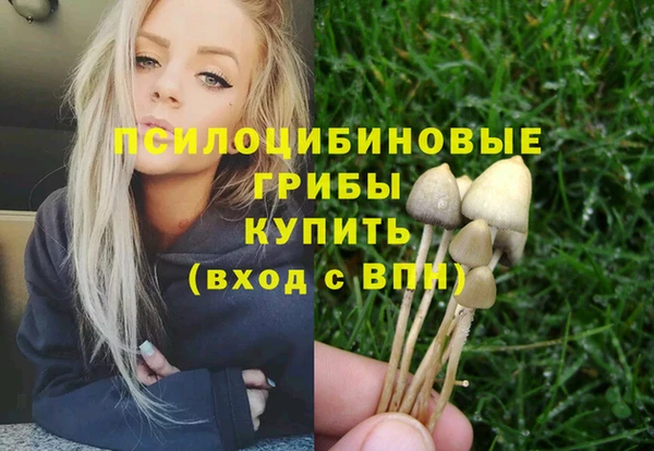 гидропоника Михайловка