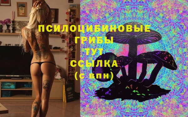 гидропоника Михайловка