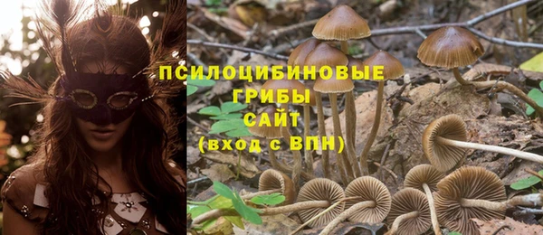 трава Михайлов