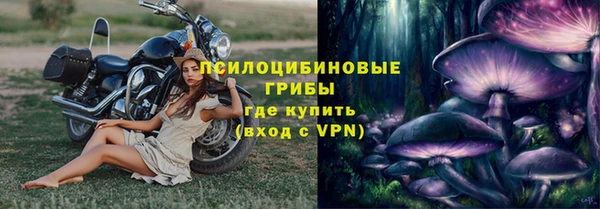 гидропоника Михайловка