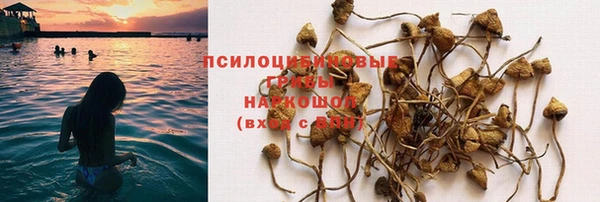 гидропоника Михайловка