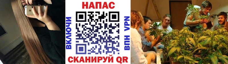 Шишки марихуана VHQ Салават